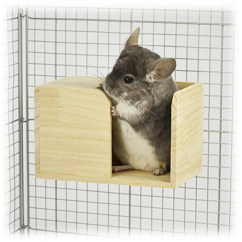 [��������] ���꡼�������ϥ��� ��ưʪ�������ϥ��� ������� �ǥ��� �ꥹ ����å� �ϥ�ͥ��� ������ �쥤������