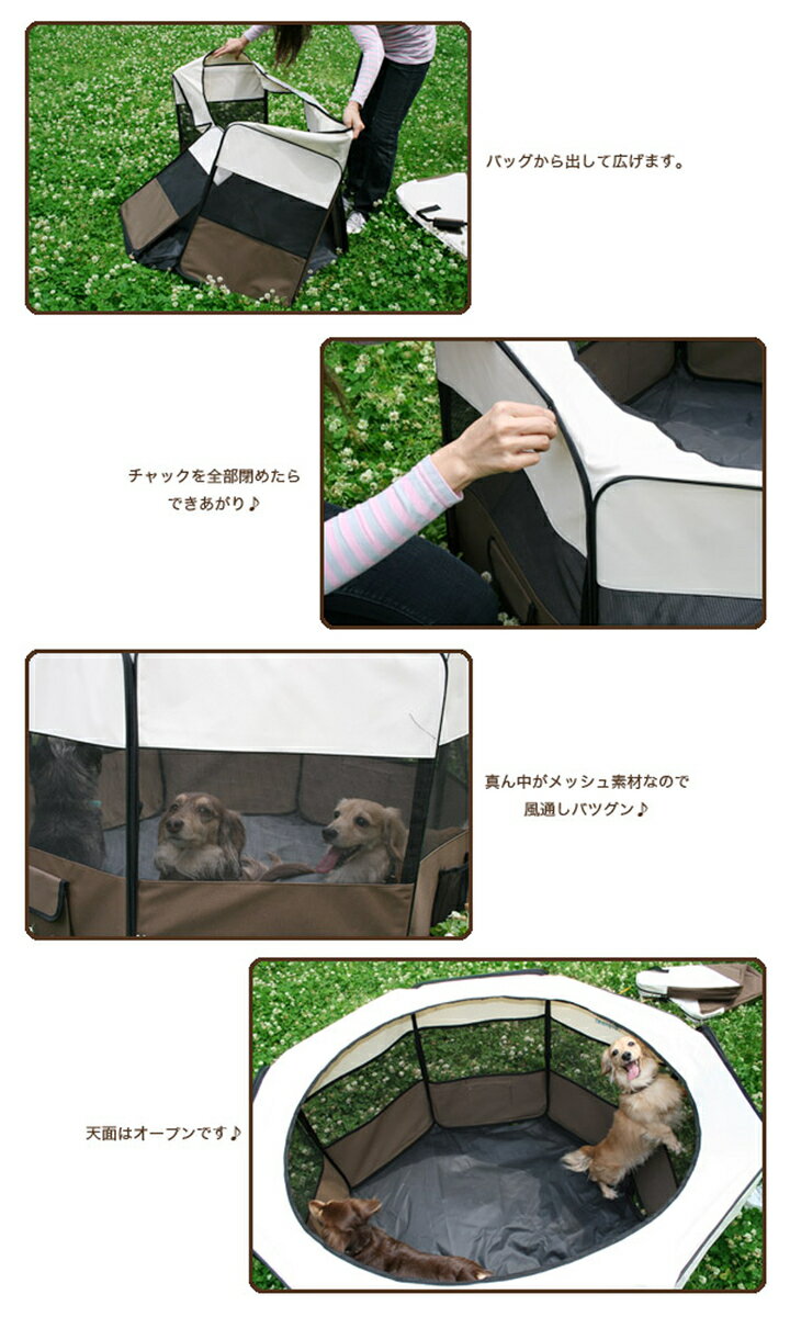 �ں���2000��OFF�����ݥ�������ۥۥ�ǥ��ѡ��� �ڥå��ѥ������� ���� ���뤰�� Ϸ���� � ���Ǥ����� �� ǭ ������ ������ ��� �ɿ� [�ե����ץ饹��] �ե��󥿥�������