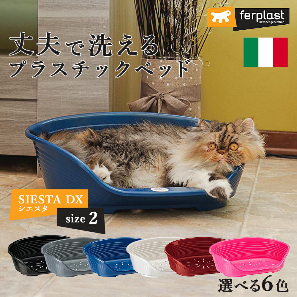 �ں���2000��OFF�����ݥ�������� �������� SIESTA DX 2 �٥å� �ץ饹���å� �� ǭ ������ ���� ���� ��� �ڥå� ���٤��ɻ� ������� ���� ������ ����ե� ư���ʤ� ����ʤ� �ѵ��� �����륷������ �����ꥢferplast�� �ե����ץ饹�� �ե��󥿥�������