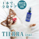 犬口ケア 犬用液状はみがき30ml、犬口ケア 歯ブラシ シリンダーヘッド【追跡可能メール便】【全国一律送料無料】