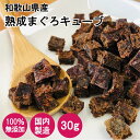 和歌山県 那智勝浦産 熟成まぐろキューブ 30g 食べる健康素材 鮪 無添加 犬 いぬ おやつ 国内製造 Nanki Japan(4)