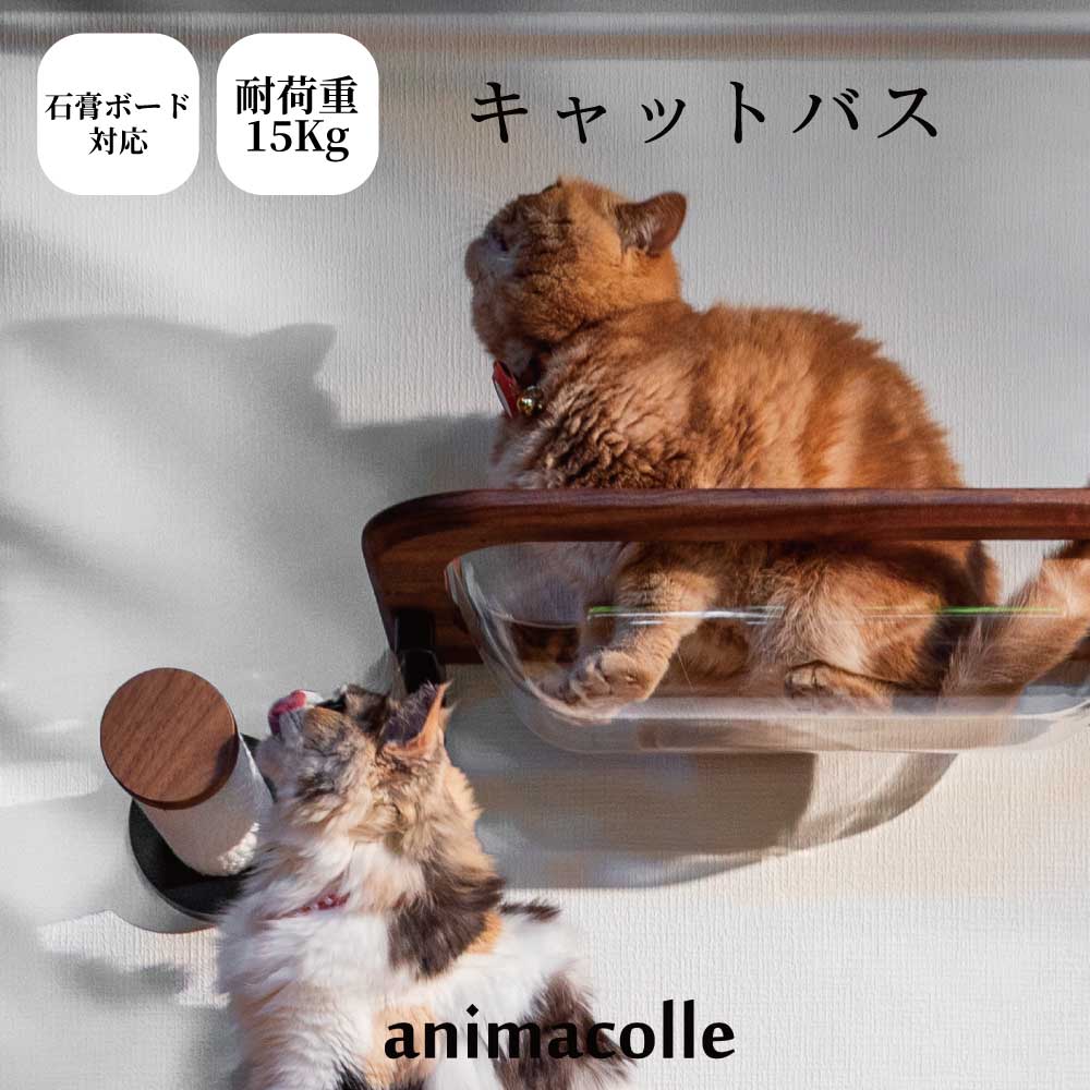 公式送料無料キャットウォーク賃貸キ...