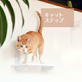 楽天市場 Animacolle キャットステップ白 正規店 キャットウォーク キャットステップ アクリル キャットタワー 日本製 猫 運動 おもちゃ 遊び 多頭飼い 省スペース おしゃれ スリム 単品 Diy 壁 棚 アニマコレ Animacolle