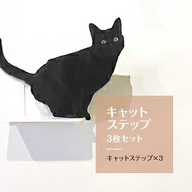 500円分 サンキュークーポン付 Animacolle 日本製 キャットステップ白3枚セット Diy キャットタワー 正規店 キャットウォーク キャットステップ キャットロード アクリル キャットタワー 日本製 猫 運動 ねこ 遊び 多頭飼い 省スペース おしゃれ おもちゃ Diy 壁 棚