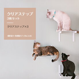 animacolle クリア(透明)ステップ3枚セット キャットウォーク　キャットステップ　キャットタワー　正規店　日本製　安全　アクリル　人気　キャットロード　大型猫　おもちゃ　ねこ　運動　遊び　多頭飼い　スリム　コンパクト　DIY　壁　棚　送料無料　アニマコレ