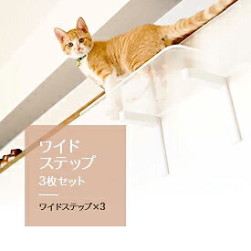 animacolle ワイドステップ透明3枚セット　キャットウォーク　キャットステップ　キャットタワー　正規店　日本製　安全　アクリル　人気　キャットロード　大型猫　おもちゃ　ねこ　運動　遊び　多頭飼い　スリム　コンパクト　DIY　壁　棚　送料無料　アニマコレ