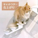 animacolle キャットウォーク キャットステップ キャットタワー 正規店 はしご 階段 日本製 安全 壁付け 棚板 足場 コンパクト 省スペース おしゃれ 猫 運動不足 ストレス解消 壁 棚 DIY 設置 簡単 送料無料 あす楽 アニマコレ 賃貸 高級 MIJ