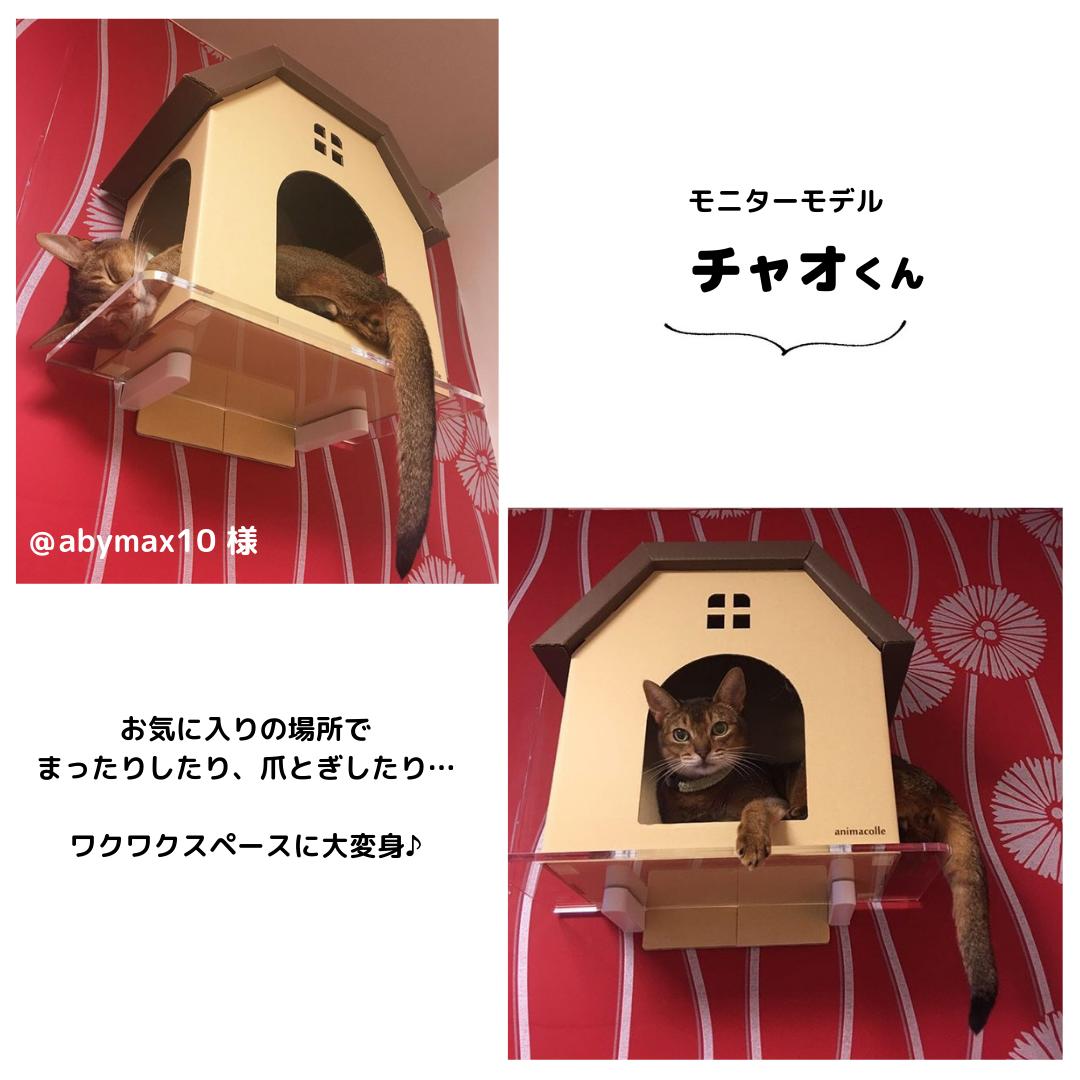 楽天市場 Animacolle キャットハウス 白 ピンク 段ボール 爪とぎ 猫 ハウス キャットウォーク キャットステップ キャットロード 壁 キャット おしゃれ シンプル Diy ねこ ガリガリ おもちゃ ステイホーム アニマコレ Animacolle