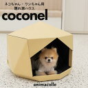 【coconel ラテ】animacolle 犬ベッド 猫ベッド インテリア ペットベッド ダンボール ペット用品 箱型 正規店 日本製 安全 壁付け 棚板 猫...