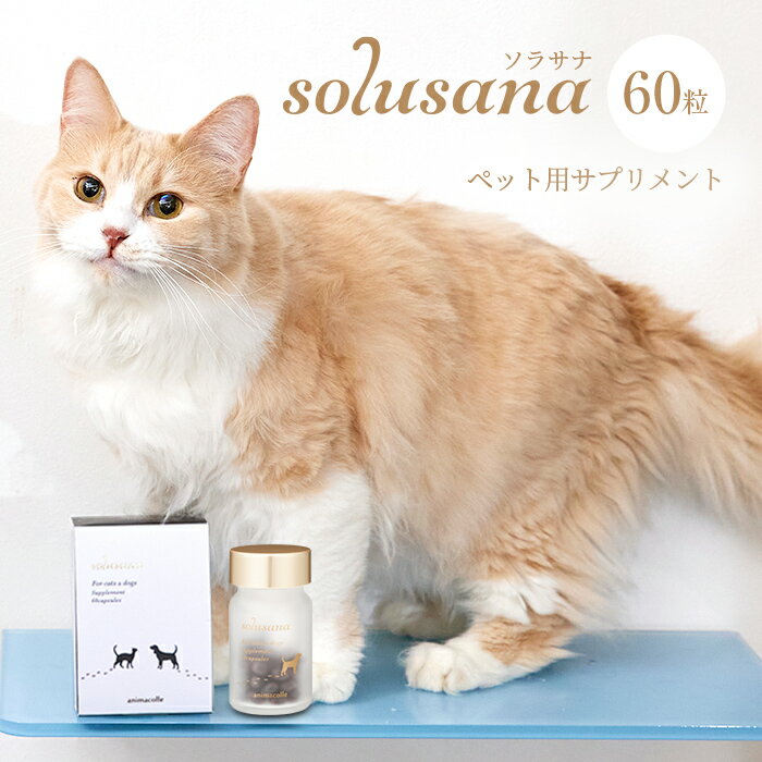 【犬 猫 ペットサプリメント solusana】 animacolle 送料無料 あす楽 60粒 約1か月分 ソラサナ 国内製造 安心 安全 健康補助食品 オメガ3脂肪酸 アルガトリウム DHA EPA オリゴ乳酸 アスタキサンチン 関節 腎臓 血管 眼 腸内環境 皮膚 被毛 免疫 アニマコレ