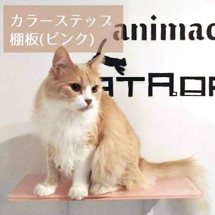 animacolle カラーステップ棚板（ピンク) 【正規店　キャットウォーク　キャットステップ　アクリル　キャットタワー日本製 猫 おもちゃ ねこ 運動 遊び 多頭飼い 省スペース おしゃれ スリム DIY 壁 棚 ペット アニマコレ】