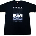 BURZUM o[YWHEN NIGHT FALLS ItBV ohTVc