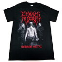 CARACH ANGREN カラック アングレンHORROR METAL LIFELESS FLESH オフィシャル バンドTシャツ