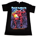 IRON MAIDEN ACACfLOTB DEVIL ItBV ohTVc