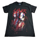 SLAYER XC[BLOOD FLAG ItBV ohTVc