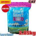 ナチュラルバランス インドア キャットフード 2.85kg 全猫種 子猫 成猫 高齢猫 全年齢 対応 体重コントロール 体重管理 サポート ダイエット 低脂質 ...