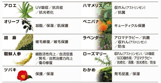 ����ή �����ס� �������� �ȥ꡼�ȥ��ȥ���ǥ�����ʡ� 60ml 2�����å� ���� ǭ�� �� �����ס� ǭ �����ס� ������ �ڥå� �ڥå����� �ڥåȥ��å� �����ס� ŷ�����Ǻ�100�� �䤵���� �¿� ���å��� ŷ���ϡ��� �� ���� ���� �������� �������� �ɥå�