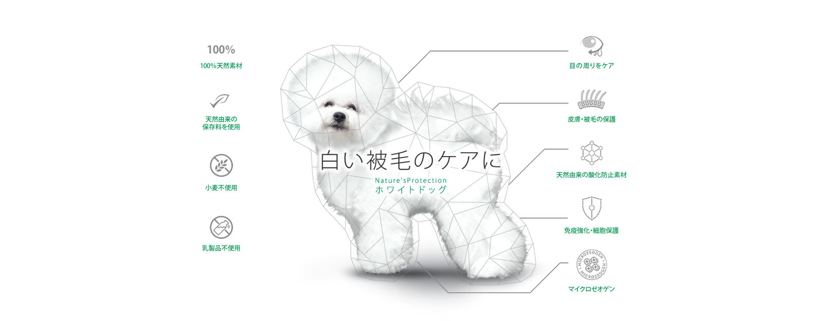 【送料無料】ホワイトドッグ ジュニア グレインフリー 1.5kg 2袋セット ネイチャーズプロテクション Nature’s Protection 犬用フード 小粒 ドッグフード ドライフード 白毛 犬種 仔犬 ドッグフード 涙やけ 予防 犬用 犬の餌 犬のえさ アレルギー 軽減