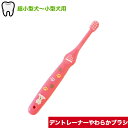 デントレーナーやわらかブラシ ピンク 1本 歯ブラシ 超小型犬 小型犬用 磨きやすい 最小 超極細毛 やわらかい 歯磨き 磨きやすい 犬用 ペット用品 身体ケア