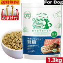 Yum Yum Yum ヤムヤムヤム 健康マネジメント腎臓 1.3kg 正規品 国産素材 ドッグフード ドライフード 保存料 着色料 香料等 合成添加物 一切不使用 新鮮 国産 無添加 ヒューマングレード 小粒 犬 成犬用 アダルト 老犬用 シニア犬 子犬用 パピー お試し