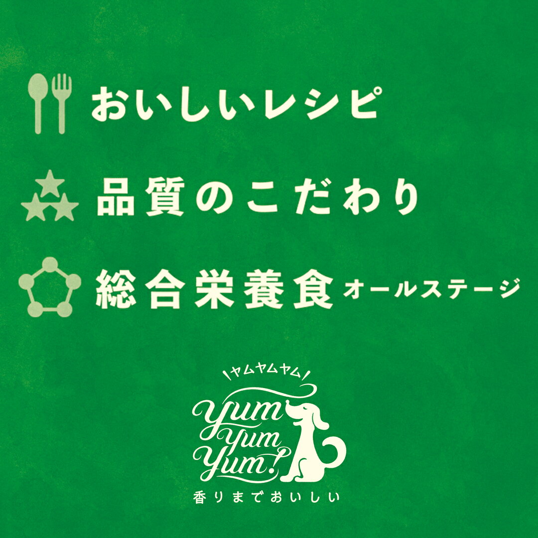 yum yum yum！ハイシニア 13+ チキン ウェットタイプ 800g（80g×10袋）正規品 ヤムヤムヤム 国産素材 ドッグフード ドライフード 保存料 着色料 香料等 合成添加物 一切不使用 新鮮 国産 無添加 ヒューマングレード 小粒 犬 老犬用 シニア犬 お試し 3