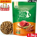 Yum Yum Yum ヤム ヤム ヤム 馬肉 ドライタイプ 1.3kg 正規品 国産素材 ドッグフード ドライフード 保存料 着色料 香料等 合成添加物 一切不使用 新鮮 国産 無添加 ヒューマングレード 小粒 犬 成犬用 アダルト 老犬用 シニア犬 子犬用 パピー お試し