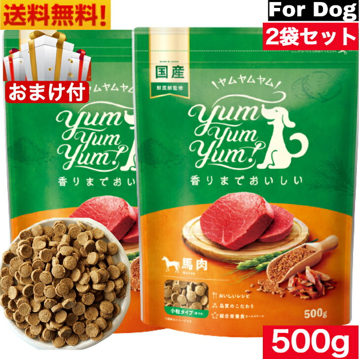 Yum Yum Yum! ヤム ヤム ヤム 馬肉 ドライタイプ 500g 2袋セット 正規品 国産素材 ドッグフード ドライフード 保存料 着色料 香料等 合成添加物 一切不使用 新鮮 国産 無添加 ヒューマングレード 小粒 犬 成犬用 アダルト 老犬用 シニア犬 子犬用 パピー お試し