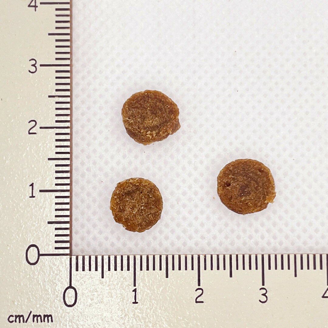 YumYumYum! ヤムヤムヤム 馬肉 やわらかドライタイプ 800g(80g×10) 正規品 国産素材 ドッグフード ドライフード 保存料 着色料 香料等 合成添加物 一切不使用 新鮮 国産 無添加 ヒューマングレード 小粒 犬 成犬用 アダルト 老犬用 シニア犬 子犬用 パピー お試し