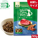 Yum Yum Yum! ヤム ヤム ヤム マグロ ド