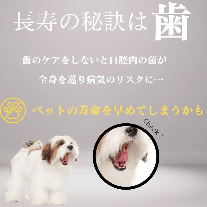 KPS �ϥΥ��� �ޥ������꡼�ʡ� ���ꥸ�ʥ� 118ml ��ǭ���� �ǥ󥿥륱�� �ޥ������� ��Ū ����Ķ� �ݻ� ������ ��ǭ�� �ڥå�����