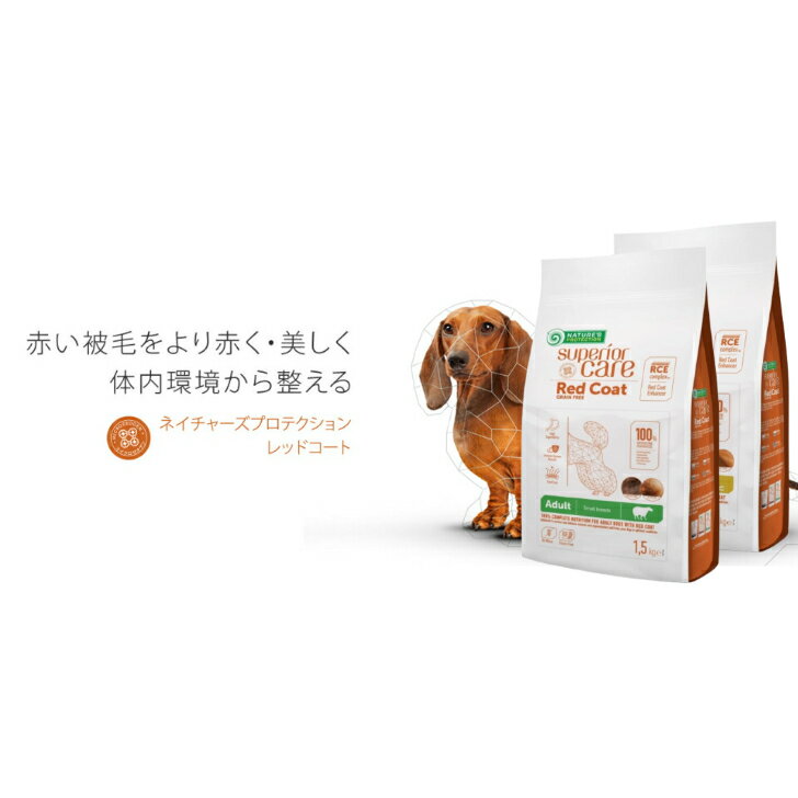 ネイチャーズプロテクション レッドコート (ラム アダルト) (サーモン アダルト) 1.5kg 2袋セット ドッグフード ドライフード 赤い被毛犬種 成犬用 総合栄養食 健康的 皮膚 ペット用品 ペットフード 小粒 ペット 犬 いぬ グルテンフリー 消化サポート 2