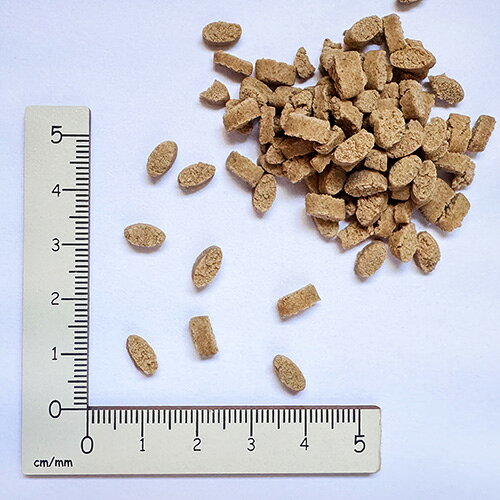 yum yum yum！ ハイシニア 13+ チキン ドライタイプ 1.3kg 正規品 ヤムヤムヤム 国産素材 ドッグフード ドライフード 保存料 着色料 香料等 合成添加物 一切不使用 新鮮 国産 無添加 ヒューマングレード 小粒 犬 老犬用 シニア犬 送料無料 animalfood-10001856 アニマルフード サンプル画像3