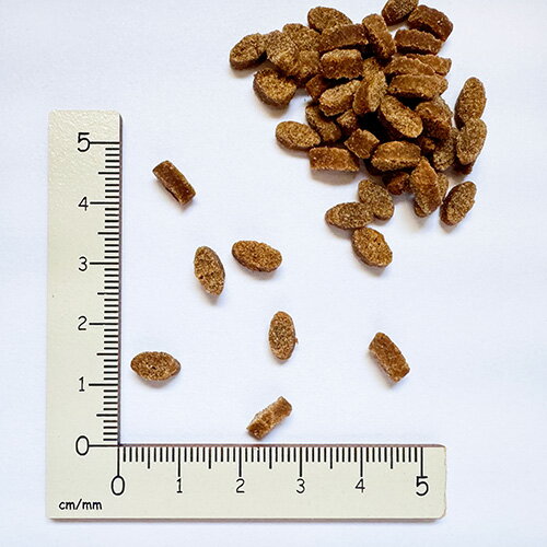 yum yum yum！ハイシニア 13+ チキン やわらかドライタイプ 800g 正規品 ヤムヤムヤム 国産素材 ドッグフード ドライフード 保存料 着色料 香料等 合成添加物 一切不使用 新鮮 国産 無添加 ヒューマングレード 小粒 犬 老犬用 シニア犬 お試し