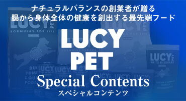 ルーシーペット チューイングボーン Sサイズ 6本入 正規品 無添加 ガムタイプ あご 歯ぐき 運動 ガム おやつ 骨型 牛肉皮 歯磨き 歯茎 マッサージ 小型犬 大型犬 中型犬 犬用 お試し 3