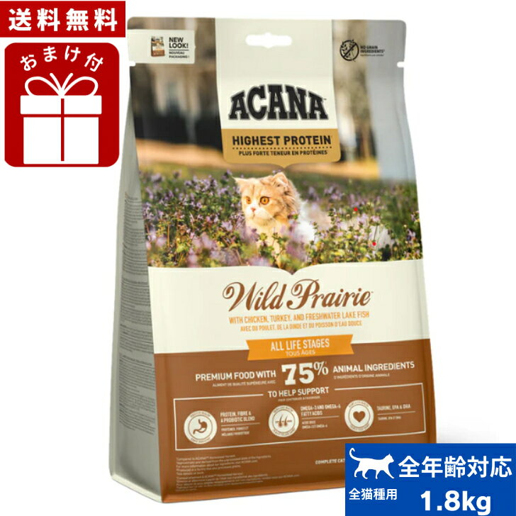 アカナワイルドプレイリーキャット1...