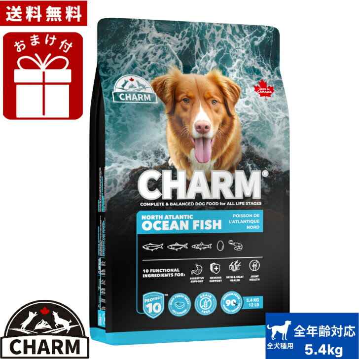 商品情報名称ドッグフード内容量5.4kg原材料新鮮サーモン (18%), ニシンミール (10%), ゴマサバミール (8%), ヒヨコ豆, 丸ごとグリーンピース, 丸ごとイエローピース, 酵母, 全卵 (6%), キャノーラ油, ココナッツ油, 天然香料, リンゴ繊維, サツマイモ, ナンキョクオキアミ (1%), ニシン油(1%), ブルーベリー, クランベリー, アスパラガス, アーティチョークハート, グリーンキウイフルーツ, ホウレン草, 卵殻膜, コラーゲンペプチド, アスコフィラム・ノドサム, パイナップル, 霊芝, カワラタケ, カバノアナタケ, ターメリックルート, チコリルートエキス, ケルプ, グルコサミン塩酸塩, コンドロイチン硫酸, スピルリナ, ローズマリーエキス添加栄養素: リン酸二カルシウム, 塩化ナトリウム, 炭酸カルシウム, タウリン, 塩化コリン, 硫酸第一鉄, 酸化亜鉛, ビタミンEサプリメント, 硫酸銅, セレン, ビタミンB12サプリメント, 葉酸, ナイアシン, ビタミンAサプリメント, パントテン酸カルシウム, 酸化マンガン, リボフラビン, ビオチン, ピリドキシン塩酸塩, チアミン硝酸塩, ビタミンD3サプリメント, ヨウ素酸カルシウム, 天然ミックストコフェロール保証成分粗たんぱく質 (以上) 34%粗脂肪 (以上) 16%粗繊維 (以下) 4.0%粗灰分 (以下) 9.5%水分 (以下) 10%オメガ3脂肪酸 1.0%オメガ6脂肪酸 3.0%オメガ3/オメガ6比 1:3EPA 0.09%DHA 0.15%カルシウム (以上) 1.2% リン (以上) 1.0% グルコサミン塩酸塩 300 mg/kgコンドロイチン硫酸 300 mg/kg炭水化物 (以下) 26.5%代謝エネルギー3790kcal/kg給餌量犬の体重 活発 通常・シニア犬1-5kg 35-104g 35-92g5-10kg 104-174g 92-156g10-15kg 174-231g 156-231g15-20kg 231-278g 231-278g20-25kg 278-324g 278-313g25-30kg 324-370g 313-324g30-40kg 370-463g 324-452g40-50kg 463-556g 452-487g50-60kg 556-626g 487-598g60-70kg 626-712g 598-678g原産国カナダ賞味期限パッケージに記載注意書きお使いのモニターの発色具合によって実際の物と色が異なる場合が御座います。CHARM チャーム ノースアトランティックオーシャンフィッシュ ドッグフード 5.4kg 正規品 ペットフード 犬のごはん 犬のご飯 穀物不使用 無添加 ペット用品 ペット 犬 いぬ イヌ 超小型犬 小型犬 中型犬 大型犬 お試し 送料無料 美味しさと栄養を追求したノースアトランティックオーシャンフィッシュ 新鮮サーモンをはじめ、栄養と美味しさを追求し、魚と機能性原材料を豊富に使用したレシピを作りあげました。私たちは、犬と猫が大好きです。ですから、自然が育んだ本物の栄養たっぷりの食事を作りました。 2