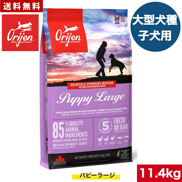 Domestic - 【送料無料】オリジン パピーラージ 11.4kg カナダ産 ドッグフード 正規品 バイオロジックフード ドライフード 大型犬 ラージ 子犬用 パピー 妊娠 授乳中 母犬用 ORIJEN ペットフード ペット 健康管理 犬 穀物不使用 無添加 グレインフリー