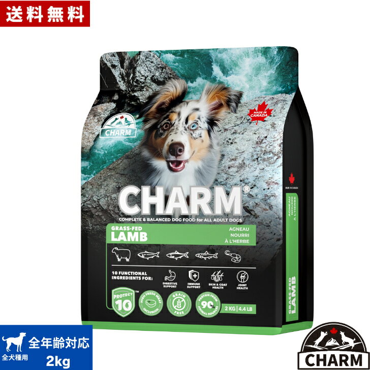商品画像2