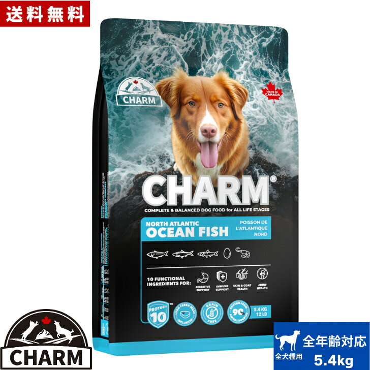 CHARM チャーム ノースアトランティックオーシャンフィッシュ ドッグフード 5.4kg…