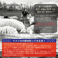 【オリジン豪華プレゼント】送料無料オリジンパピー11.3kg2袋セットおまけ付ドッグフード正規品ドライフードオールステージ全犬種用超小型犬小型犬中型犬大型犬妊娠授乳中母犬用子犬用パピーORIJENペット穀物不使用無添加グレインフリー
