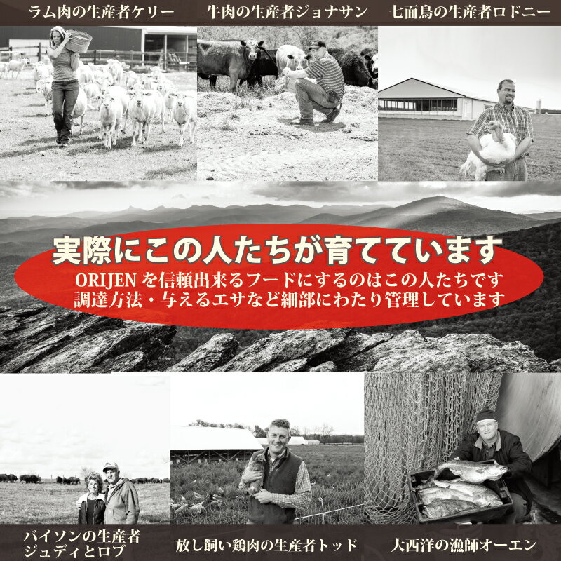 【賞味期限2022.11.11】カナダ産 オリジン パピー 50g 5袋セット お試し サンプル 正規品 ドッグフード ドライフード オールステージ 全ライフステージ 全犬種用 超小型犬 小型犬 中型犬 大型犬 子犬用 成犬用 高齢犬用 妊娠 授乳 母犬 ORIJEN 総合栄養食 穀物不使用 無添加