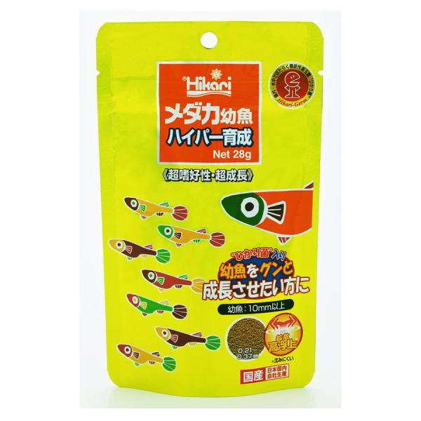 キョーリン メダカ幼魚 ハイパー育成 28g 幼魚をグンと成長させたい方に。沈みにくい拡散高浮上性のメダカ専用飼料です “幼魚”が一口で食べやすい均一な粒サイズ ひかり菌が幼魚の腸内でエサを消化吸収しやすい形に分解 また腸内環境を保ち、健康を維持します ---対象--- メダカ（体長10mm以上） ---原産国--- 日本 ---原材料--- オキアミミール、フィッシュミール、卵白粉末、イカミール、ビール酵母、でんぷん類、魚油、乳化剤、グルテンミール、 大豆ミール、海藻粉末、酵母エキス、アミノ酸（メチオニン）、タウリン、生菌剤、スピルリナ、カロチノイド、粘結剤（ポリアクリル酸Na）、ガーリック、ビタミン類(塩化コリン,E,C,イノシトール,B5,B2,A,B1,B6,B3,葉酸,D3,ビオチン)、ミネラル類(P,Si,Ca,Fe,Mg,Zn,Mn,Cu,I) ---成分--- 蛋白質48％以上,脂質12％以上,粗繊維3.0％以下,水分10％以下,灰分15％以下,リン1.0％以下 ・リニューアルに伴い、商品パッケージ・内容が変更となっており、画像・内容と異なる場合がございます ・ご購入いただいたタイミングにより、お品切れの場合がございます。その場合は別途ご連絡させていただきます