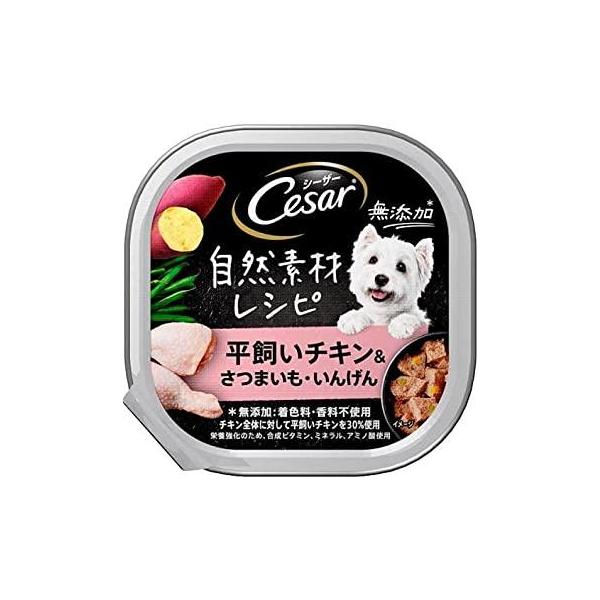 【賞味期限切れ】シーザートレイ 自然素材レシピ 平飼いチキン＆さつまいも・いんげん 85g（26.07.29）