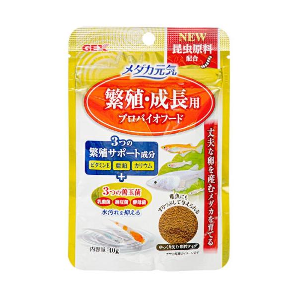 メダカ元気 繁殖・成長用プロバイオフード 40g（27.08）