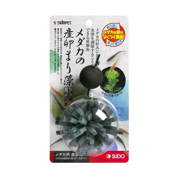 スドー メダカの産卵まり藻（小） カボンバ ※箱色あせ・キズよごれあり メダカの好みに合わせて水深を調節することができる産卵床です。 水草カボンバをイメージしました。 効率よく産卵できる形状をした足は着卵性に優れ、繰り返し洗って使えます。 ---原産国--- 中国 ・リニューアルに伴い、商品パッケージ・内容が変更となっており、画像・内容と異なる場合がございます。 ・ご購入いただいたタイミングにより、お品切れの場合がございます。その場合は別途ご連絡させていただきます。