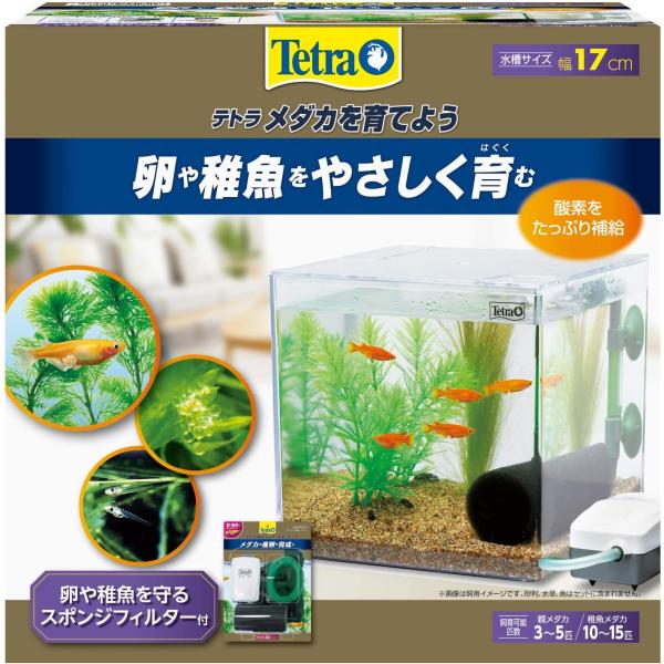 スペクトラムブランズジャパン テトラ メダカを育てよう 水槽セット どんな場所にも設置できるコンパクトサイズのメダカ水槽です。 卵や稚魚を吸い込まないエアリフト方式のスポンジフィルターを採用しました。 水槽内にほどよい水流をつくり、酸素を効率よく供給します。 スポンジにろ過バクテリアが定着することで強力ろ過を行います。 ---対象--- メダカ 親メダカの場合：3〜5匹 稚魚メダカの場合：10〜15匹 ---内容物--- 水槽＆フタ、エアーポンプCA-30、エアーチューブ1m、ミニビリーフィルター、水質調整剤（カルキ抜き）、フード（テトラ キリミン）、メダカの飼い方ガイド ---仕様--- エアーポンプCA−30 定格電圧：100V 定格周波数：50／60Hz 消費電力：1.5W/1.4W 吐出量（50/60Hz）：1.0/0.8L/分 吐出口：1個 ---サイズ（約）--- 水槽：幅17×奥行き17×高さ17cm（水容量約5L） ・リニューアルに伴い、商品パッケージ・内容が変更となっており、画像・内容と異なる場合がございます。 ・ご購入いただいたタイミングにより、お品切れの場合がございます。その場合は別途ご連絡させていただきます。