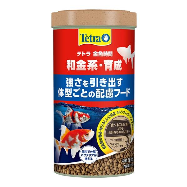 スペクトラムブランズジャパン テトラ 金魚時間 和金系・育成 中粒 170g 金魚の成長に必要不可欠な栄養素と特別な成分で成長と健康をサポートします。 成長期・骨格に配慮したい金魚へ最適な高品質な蛋白質とカルシウムを配合しました。 オメガ3脂肪酸やアミノ酸バランスに優れた 良質な蛋白質を豊富に含み、金魚の健康を維持します。顆粒（浮上性） --対象-- すべての金魚 --原産国-- ドイツ --原材料-- フィッシュミール、植物性蛋白質、野菜類、酵母、穀類、油脂、甲殻類、ミネラル類、ビタミン類、クエン酸 --成分-- 粗蛋白質：44．0％以上、粗脂肪：10．0％以上、粗繊維：2．0％以下、粗灰分：9．0％以下、水分：8．0％以下 ・リニューアルに伴い、商品パッケージ・内容が変更となる場合があり、画像・内容と異なる場合がございます。 ・ご購入のタイミングにより、品切れとなる場合がございます。その際は別途ご連絡させていただきます。