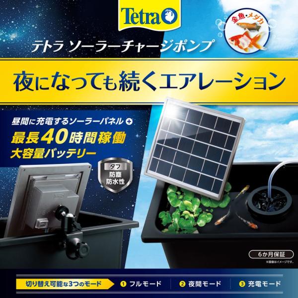 アニマルミニョン 楽天市場店のテトラ ソーラーチャージポンプ｜アングル3