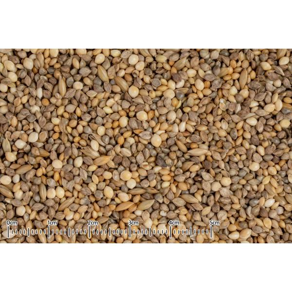 自然派宣言 ハムスターのごはん 40g
