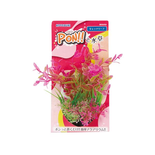寿工芸 PON!!と水草 S レッドリーフ